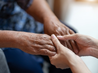 Article 81 Guardianship